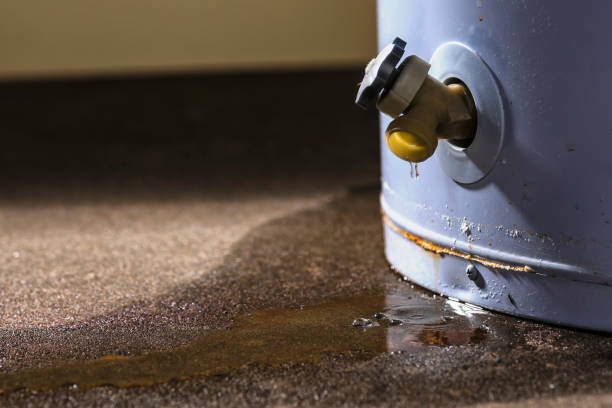 Best Flood damage cleanup  in Shady Side, MD