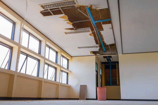 Best Water damage cleanup near me  in Shady Side, MD