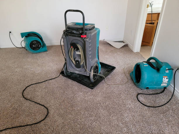 Best Water damage contractors near me  in Shady Side, MD