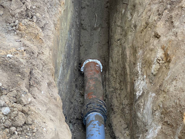 Best Professional water damage repair  in Shady Side, MD