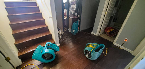 Best Ceiling water damage repair  in Shady Side, MD