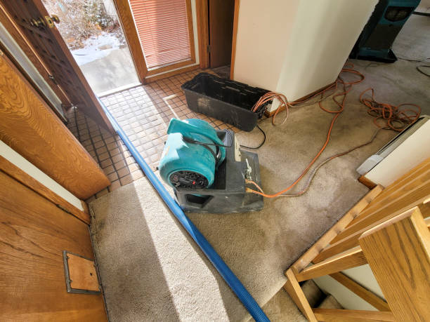 Local water damage restoration in MD
