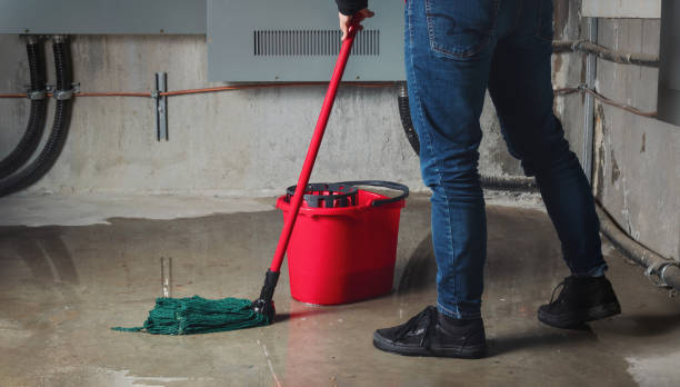 Best Water damage contractors near me  in Shady Side, MD