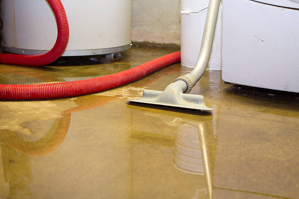 Best Water damage mitigation services  in Shady Side, MD