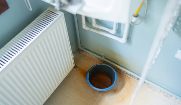 Best Water damage restoration near me  in Shady Side, MD