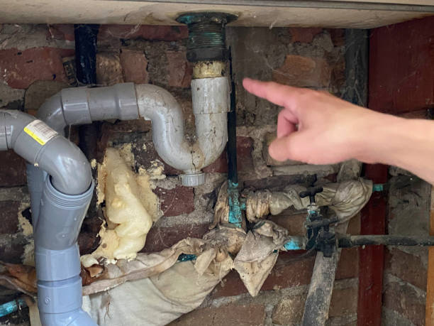 Best Residential water damage restoration  in Shady Side, MD